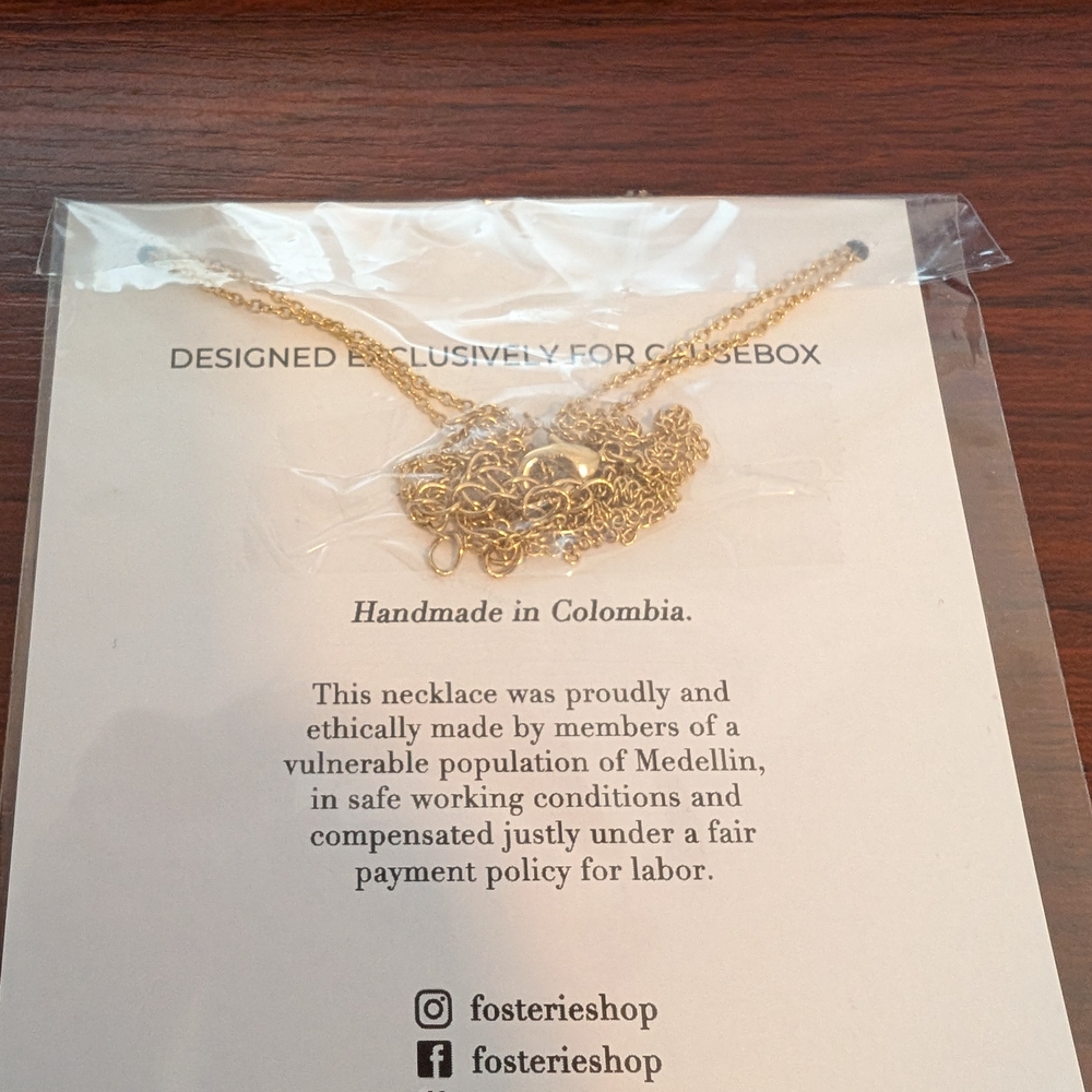 Oster Gold Necklace with Crystal Accents - Picture 4 of 5